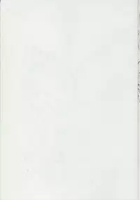 (Mimiket 25) [SLASH (Mitsurugi Aoi)] Tiffa Niku (Zero no Tsukaima)