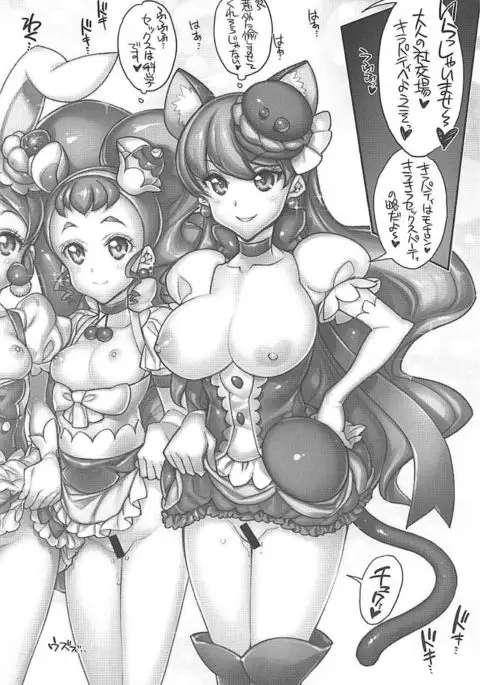 Kirakira HameCure Rankou Mode