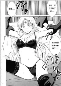 [Crimson Comics (Carmine)] Sephiria Hard Soushuuhen (Black Cat) [Chinese] [xyx1126个人汉化]