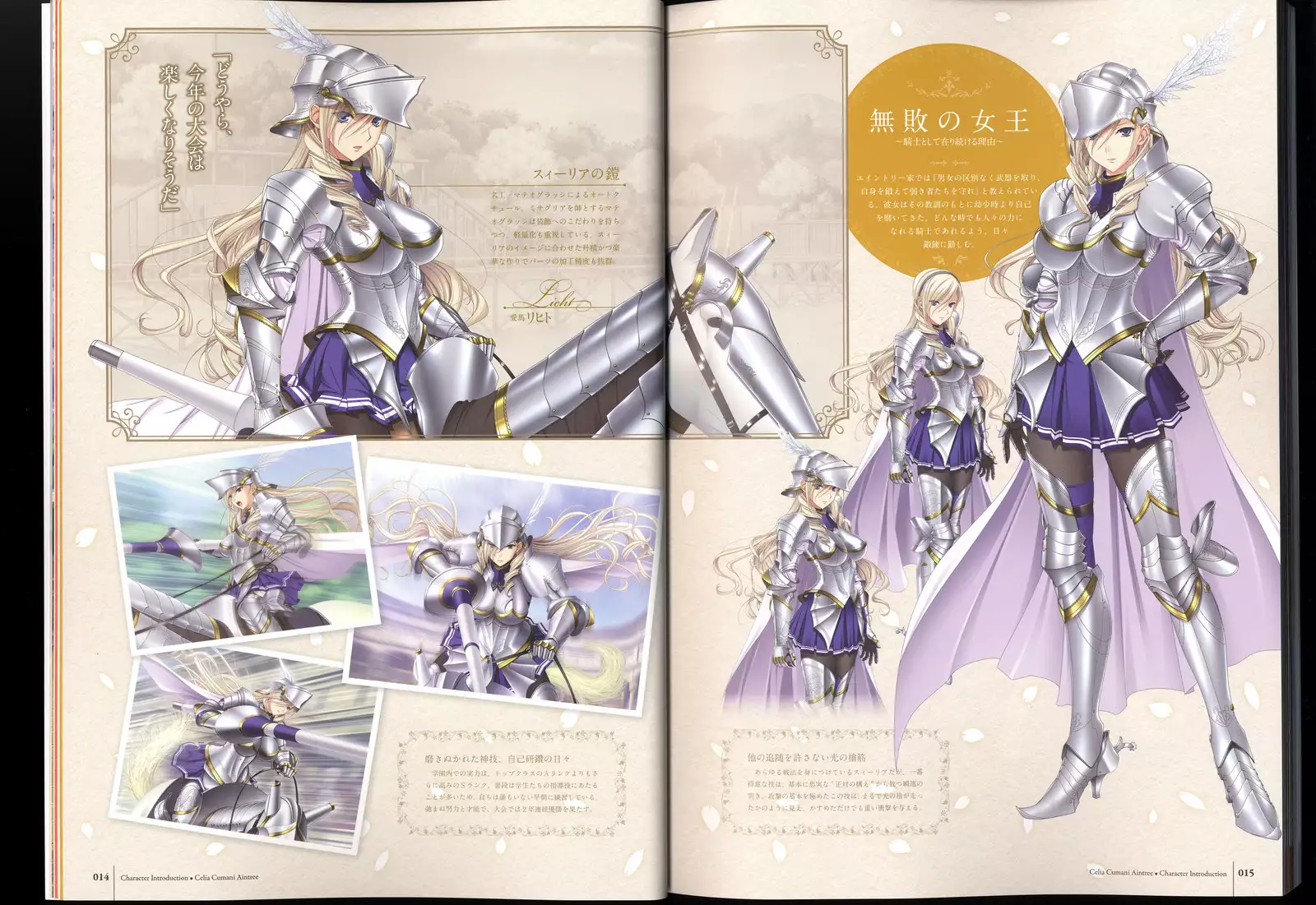 Walkure Romanze Visual Fanbook