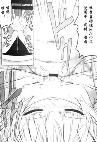 (C86) [Fukutsuu Okosu (Kaiou)] Youmumu Konpaku Youmu Suiminkan (Touhou Project) [Chinese] [Degel⑥汉化]