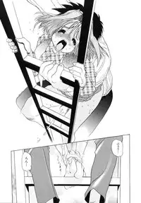 [N.O. Chachamaru] Niisama Gomen Asobase