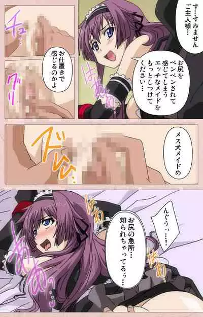 Tsun Tsun Maid wa Ero Ero Desu complete ban