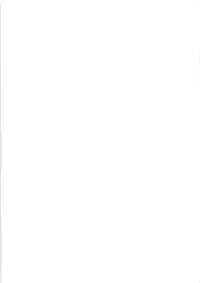 (SC46) [Je T'aime (Mutsuki Lime)] Rakurai Vol. 5