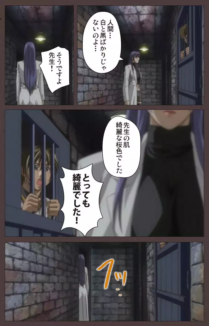 DISCIPLINE Sai shusho Complete ban