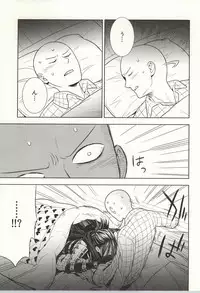 (C86) [LITHIUM (Yukimaru)] stray cat (One Punch Man)