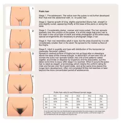 Shoujo Hatsuiku Nenji no Keikou to Tenbou