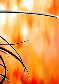 (C66) [Zangyaku Koui Teate (Nasake Muyou)] Trinitrotoluene (Shakugan no Shana) [English]