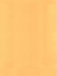 (C64) [KENIX (Ninnin)] ORANGE PIE Vol. 3 (One Piece)