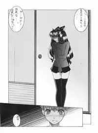(C68) [Sanazura Doujinshi Hakkoujo (Sanazura Hiroyuki)] Nekomimi Fate 2 (Fate/stay night)