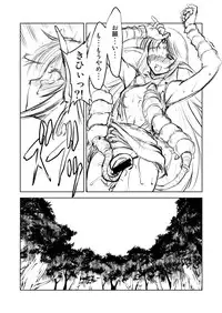 [FAKESTAR (Miharu)] D-Chuu (Record of Lodoss War)