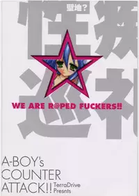 [TERRA DRIVE (Teira)] Sei Chi Junrei (Lucky Star)