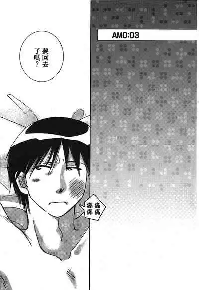 Fullmetal Alchemist 6