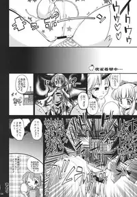 (C77) [Albatross (Nikusyo, Mei)] Yosuzume Hatsujou (Touhou Project)