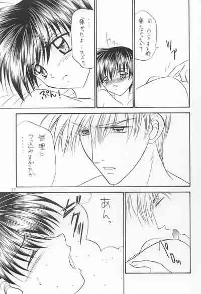 Bishounen Kinbaku Nisshi VIII