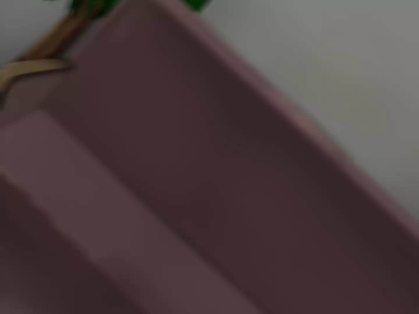 Aho no Ko o Model Scout ~Naisho no Konsui Satsueikai~