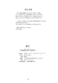 (C77) [Black Dog (Kuroinu Juu)] TOWER OF GRAY (Sailor Moon)
