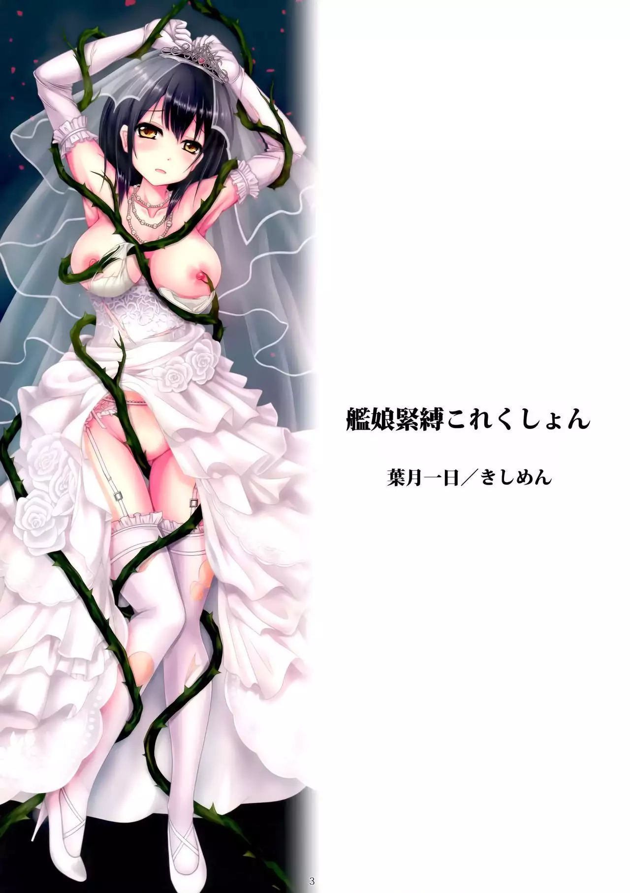 Kanmusu Kinbaku Collection