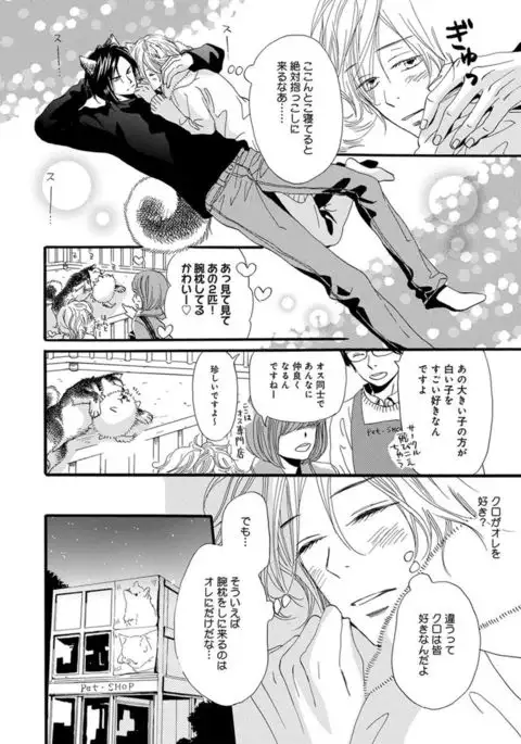 Ore wa Kawaii Ototo to