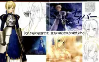Fate/stay night Premium FanBook