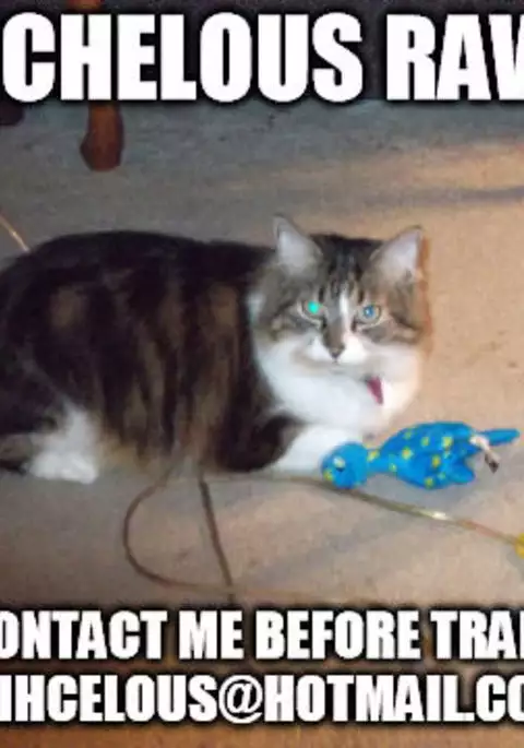 Koi-ryoku kazaguruma