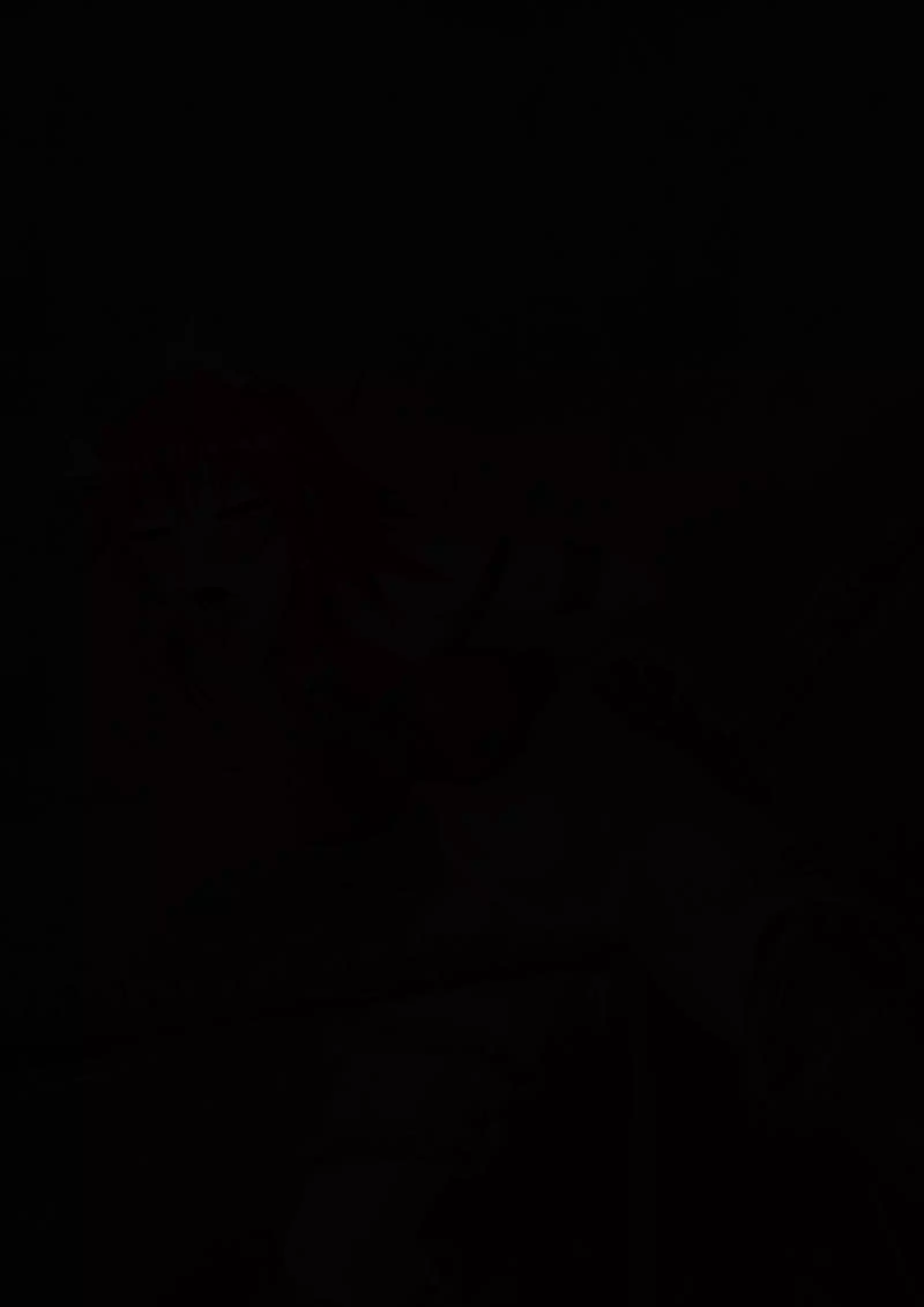 マーゴハンター Lose the field episode