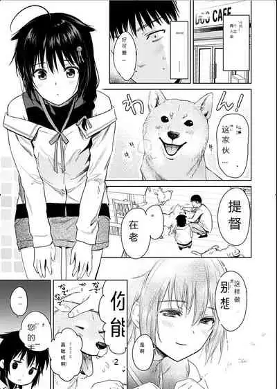 Shigure honey dog