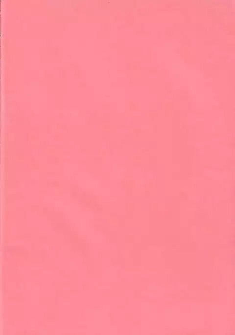 Technical S.S. 1 - Second Impression