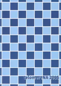 (C88) [telomereNA (Gustav)] Kouiuno ga Sukinan desuka (Granblue Fantasy)