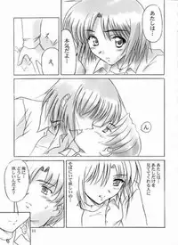 (C61) [Knights (Kishi Nisen)] Final Journey (Sentimental Graffiti)