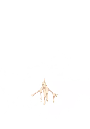 Yuuka-Chirabatta Daiyoukai no Kakera-