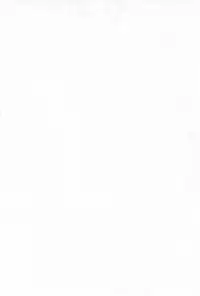 (C68) [Coonelius (Coo)] No-ichigo Hakusho (Ichigo Mashimaro)