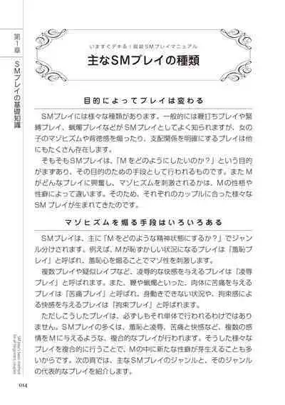 いますぐデキる 図説SMプレイマニュアル