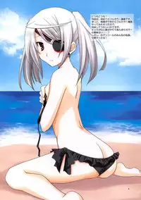 (C81) [CHAGASHI SAIBAN (Yamabuki Mook)] Laura Taichou to Dekirukana? (Infinite Stratos)