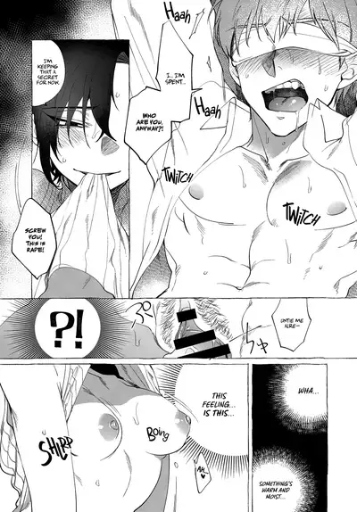 Pet Dog & Studio Apartment