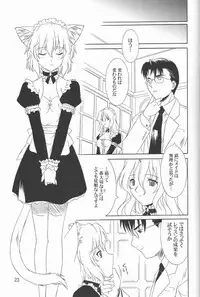(CR21) [.30-06 (Tsutsumi Akari)] MAiDNESS