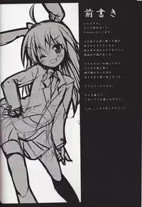 [P-POINT (Pikazo)] USAMIMI BUSTERS! (Touhou Project)