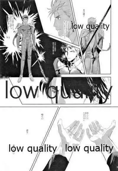 (SUPER26) [Muri Yari (Gibachi)] Hikari no Zou (Fate/stay night)