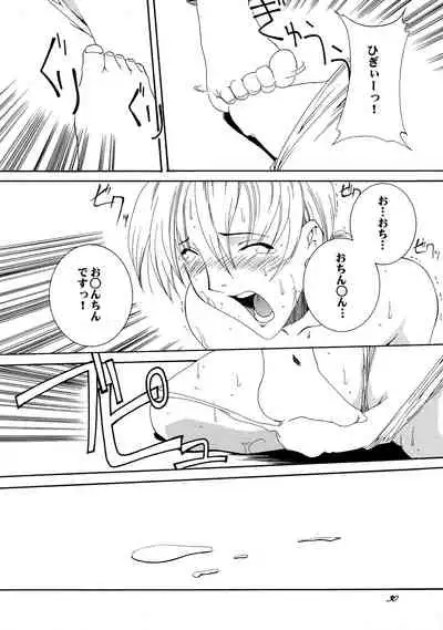 (CR33) [F-A (Honoutsukai)] Xs