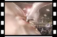 [NEO’GENTLE] Virginal Relna 1