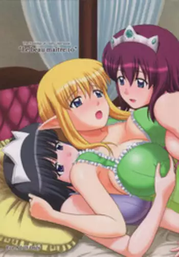 (C82) [G-SCAN CORP (Satou Chagashi)] Le beau maitre 10 (Zero no Tsukaima) [English] [Tigoris Translates]