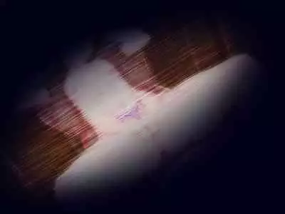 Yume no sekai de kae rarete