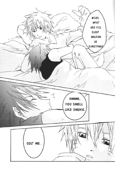 Gold Feather Silver Body