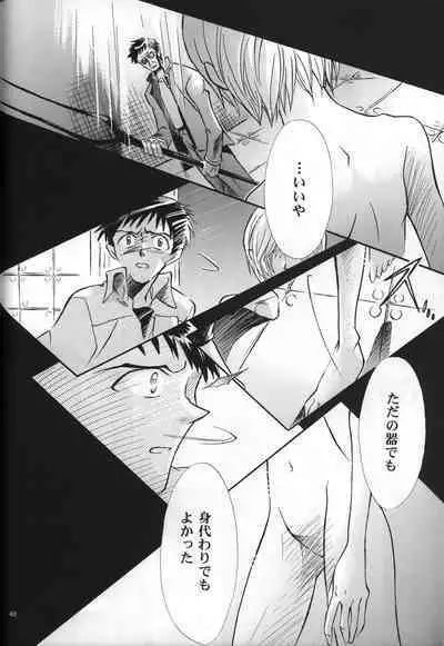 <Shinyaku> neon genesis document G