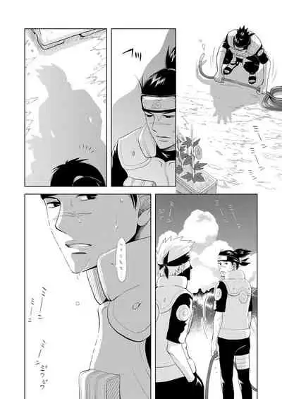 Konoha Kinboshi Doori no Hibi