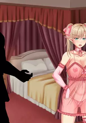 When Did My Elf Companions Become Prostitutes