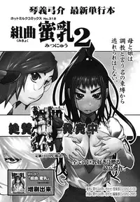 COMIC Megamilk 2010-12 Vol. 06