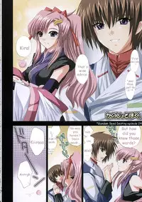 (C68) [FANTASY WIND (Shinano Yura)] satisfy (Gundam SEED DESTINY) [English] [HMedia]