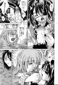 COMIC DOLPHIN 2004-06