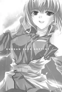 [FANTASY WIND] L-S (Kidou Senshi Gundam Seed Destiny) [English]